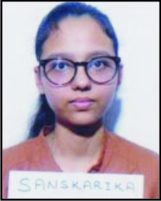 Sanskarika