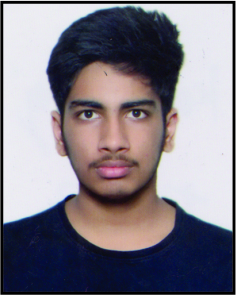 Kartik Raj